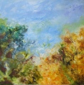 La Crique - Les Paysages