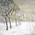 Le Châtelier, allée enneigée - Les Paysages
