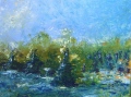 Les Sapins bleus - Les Paysages