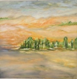 Oasis - Les Paysages